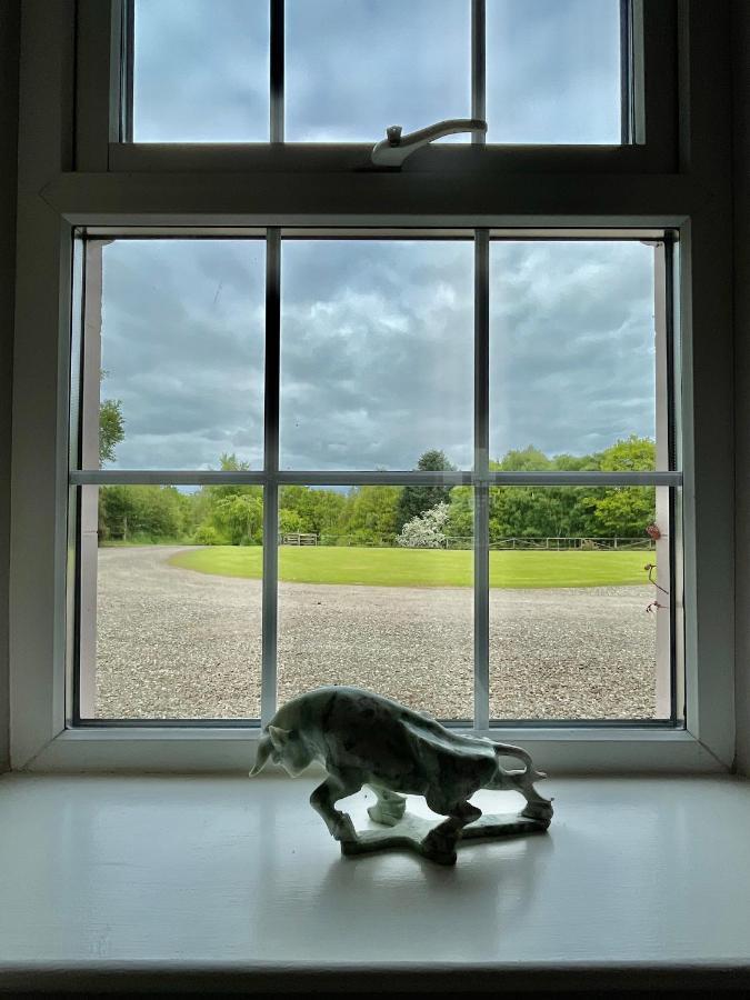 The Cottage At Riverbank Ballinamallard Buitenkant foto