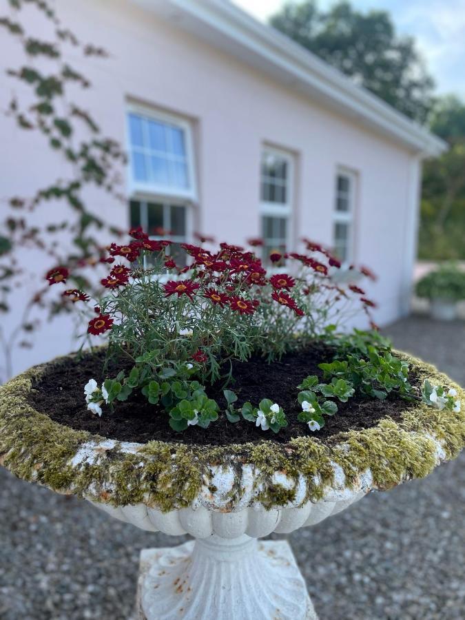 The Cottage At Riverbank Ballinamallard Buitenkant foto